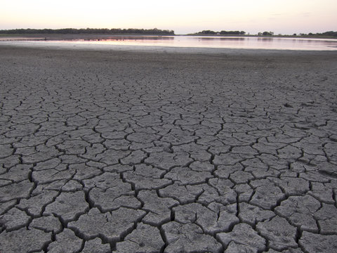 Lake Somerville, Texas