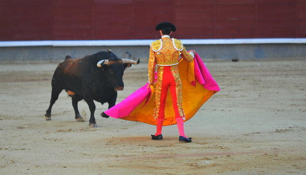 corrida
