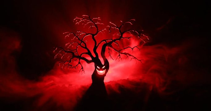 Silhouette of scary Halloween tree with horror face on dark foggy toned background with moon on back side. Scary horror tree with zombie and monster demon faces.