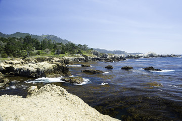 Fototapeta na wymiar China Cove, Point Lobos State Park