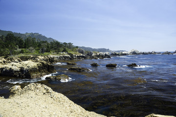 Fototapeta na wymiar China Cove, Point Lobos State Park