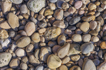 colored small sea pebbles on a rocky beach closeup