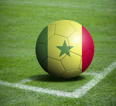 Soccer ball ball with the national flag of SENEGAL ball with stadium
