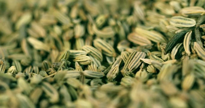 close up a fennel seed texture background , 4k Dci resolution