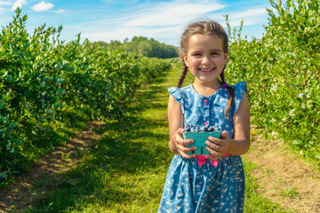 Cute girl standing and holding in her hands blueberries on the background of blueberries bushes