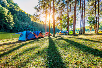 Camping tents under pine trees with sunlight at Pang Ung lake, Mae Hong Son in THAILAND. © tawatchai1990