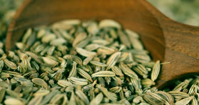 close up a fennel seed texture background , 4k Dci resolution