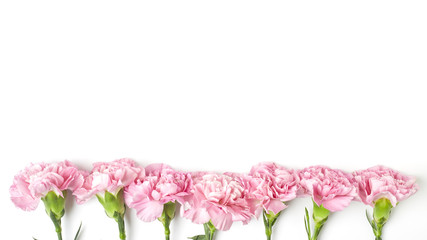 Obraz na płótnie Canvas carnations flower for Mother's day