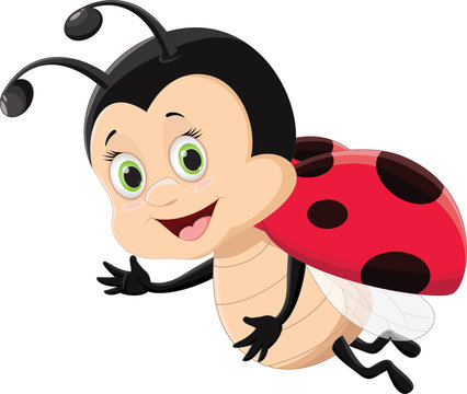 cute ladybug flying isolated on white background