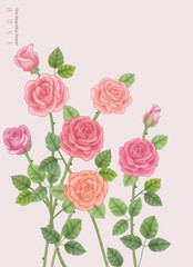 flower graphic & illustration