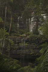 Fototapeta na wymiar Beautiful Russell Falls in Mount Field National Park, Tasmania, Australia.