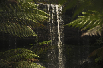 Beautiful Russell Falls in Mount Field National Park, Tasmania, Australia.