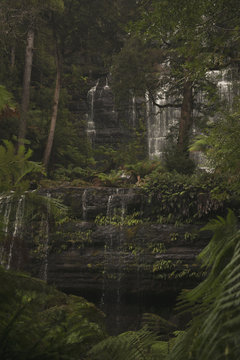 Beautiful Russell Falls in Mount Field National Park, Tasmania, Australia.