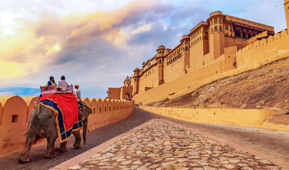 Amer Fort Jaipur - Tourists enjoy elephant ride at sunrise - obrazy, fototapety, plakaty