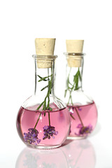 Lavender tincture. Lavender natural extract. Aroma of lavender. sprigs of lavender in a glass bottle on a white background