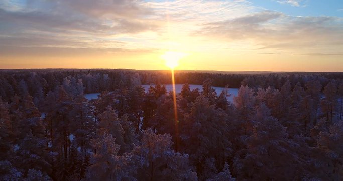 Sunset at a winter pond, Cinema 4k aerial view over a frozen trees, revealing a snowy lake, full of tire marks, on a sunny winter evening dawn, in a frosty countryside of Raasepori, Uusimaa, Finland