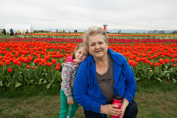 Happy family, generation and people concept - happy smiling young tree years old granddaughter with senior grandmother at the Tulip Farm hugging in Oregon USA close-up portrait , tulip farm background