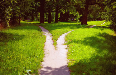 Fototapeta na wymiar Divergence of paths in the park