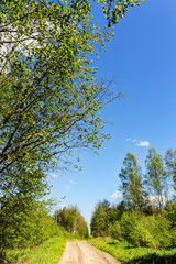 landscape with a dirt road