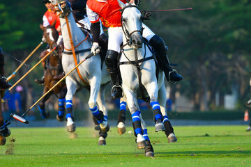 Horse Polo Player Playing in Match.
