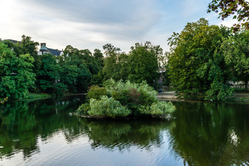 Trees and sky in park