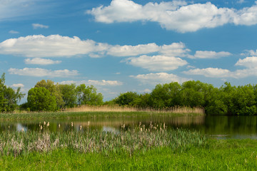 Beautiful spring landscape with small pond.