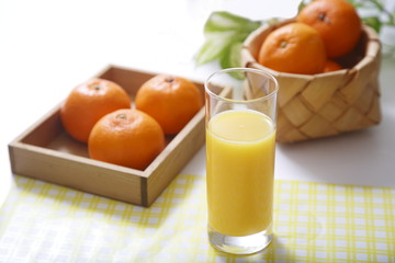 Orange Juice Image