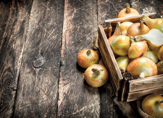 Fresh onions in an old box.