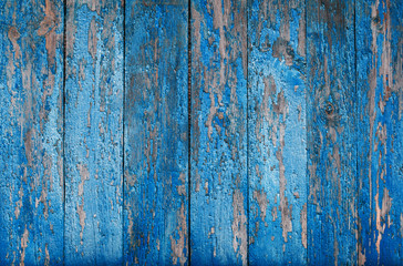 background of cracked old blue paint on a wooden wall of boards
