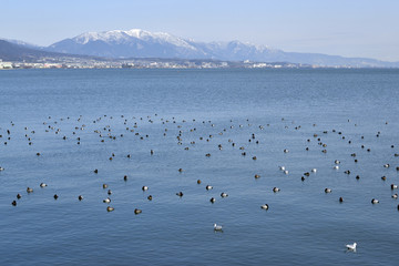 冬の琵琶湖