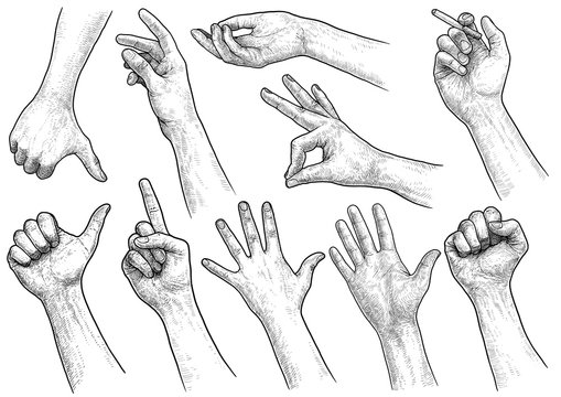 Hand gesture collection illustration, drawing, engraving, ink, line art, vector