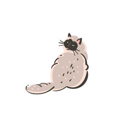 Hand drawn vector abstract graphic doodle cartoon simple illustration icon with cute funny domestic cat isolated on white background