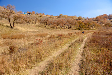 Landscape. Desert and nature.