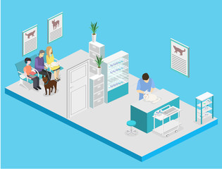 interior of veterinary clinic. The veterinarian treats the pet