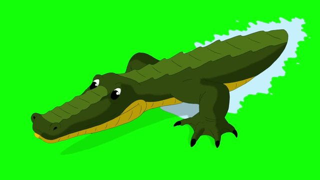Crocodile Attacks Front View Chroma