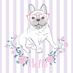 Pug dog face - vector illustration isolated on white background