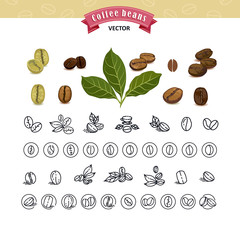 Set of vector coffee beans on white background.