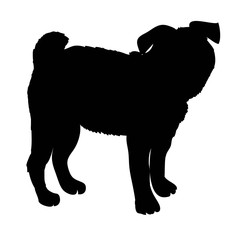 French Bulldog purebred dog standing in side view - vector silhouette isolated