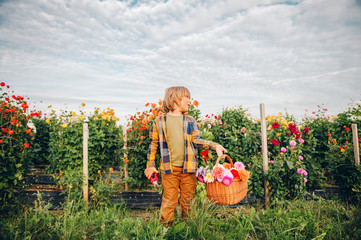 Cute little boy working in autumn garden, child taking care of colorful chrysanthemum and dahlia...