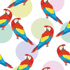Vector seamless pattern with parrot.