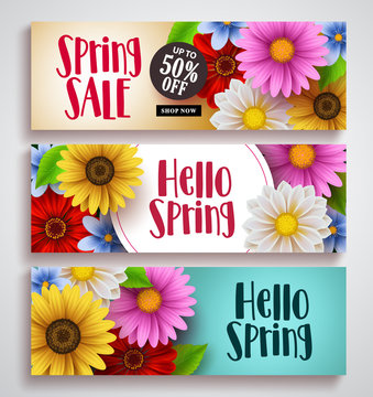Spring sale and hello spring vector banner set designs with colorful background templates and various daisy flowers for spring season discount promotion and greeting cards. Vector illustration.
