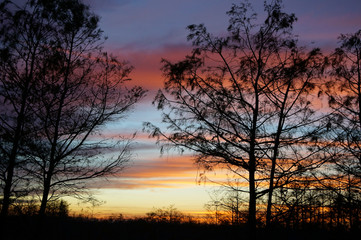 Obraz na płótnie Canvas sunset in the swamps 