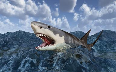 Naklejka premium Great white shark in the stormy sea
