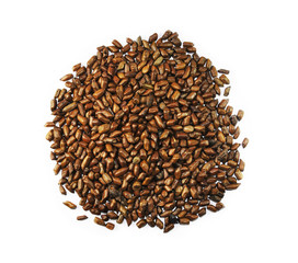 Semen Cassiae torae, chinese herbal medicine isolated. Jue Ming Zi