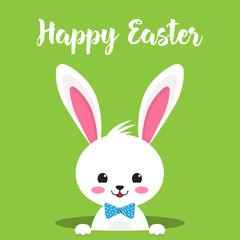 Happy Easter rabbit, white cute Bunny