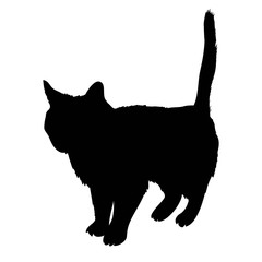 Black silhouette of cat sitting sideways isolated on white background. Vector illustration, icon, clip art.