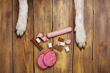 Dogs paws and neb and heap of forbidden dogs meal on wooden background