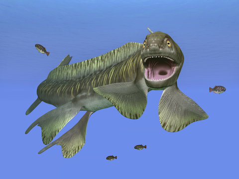 Prehistoric shark Orthacanthus