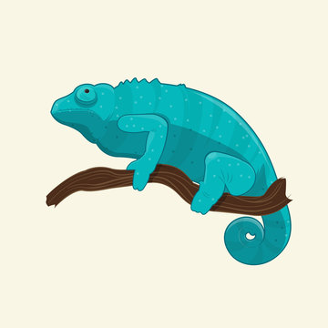 Blue chameleon on branch. Vector illustration with tropical lizard