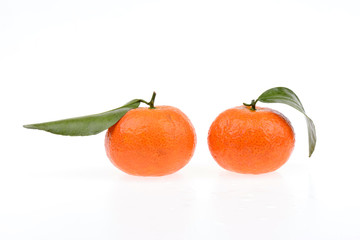 Fresh oranges on a white background